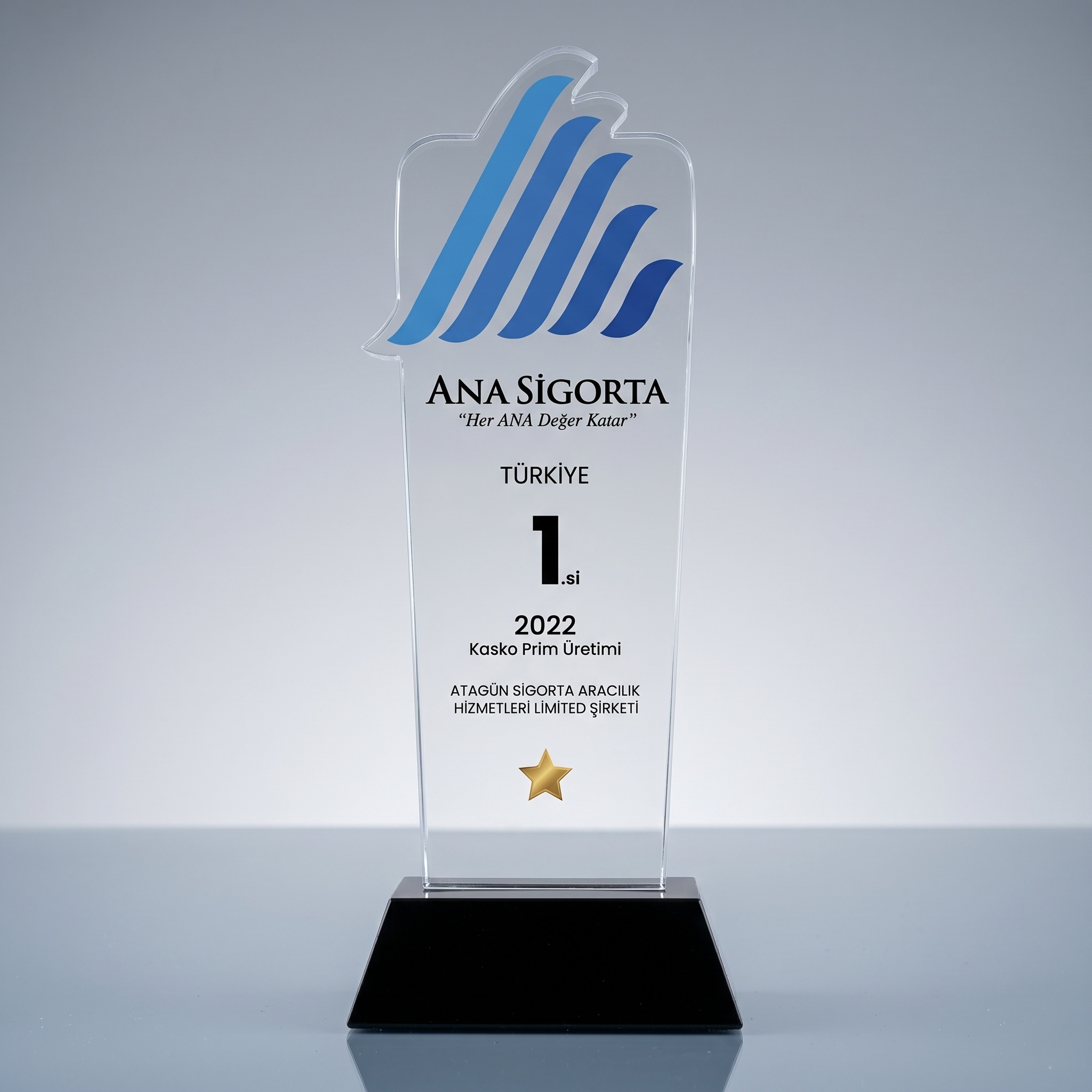 Ana Sigorta - Türkiye Birinciliği Ödülü