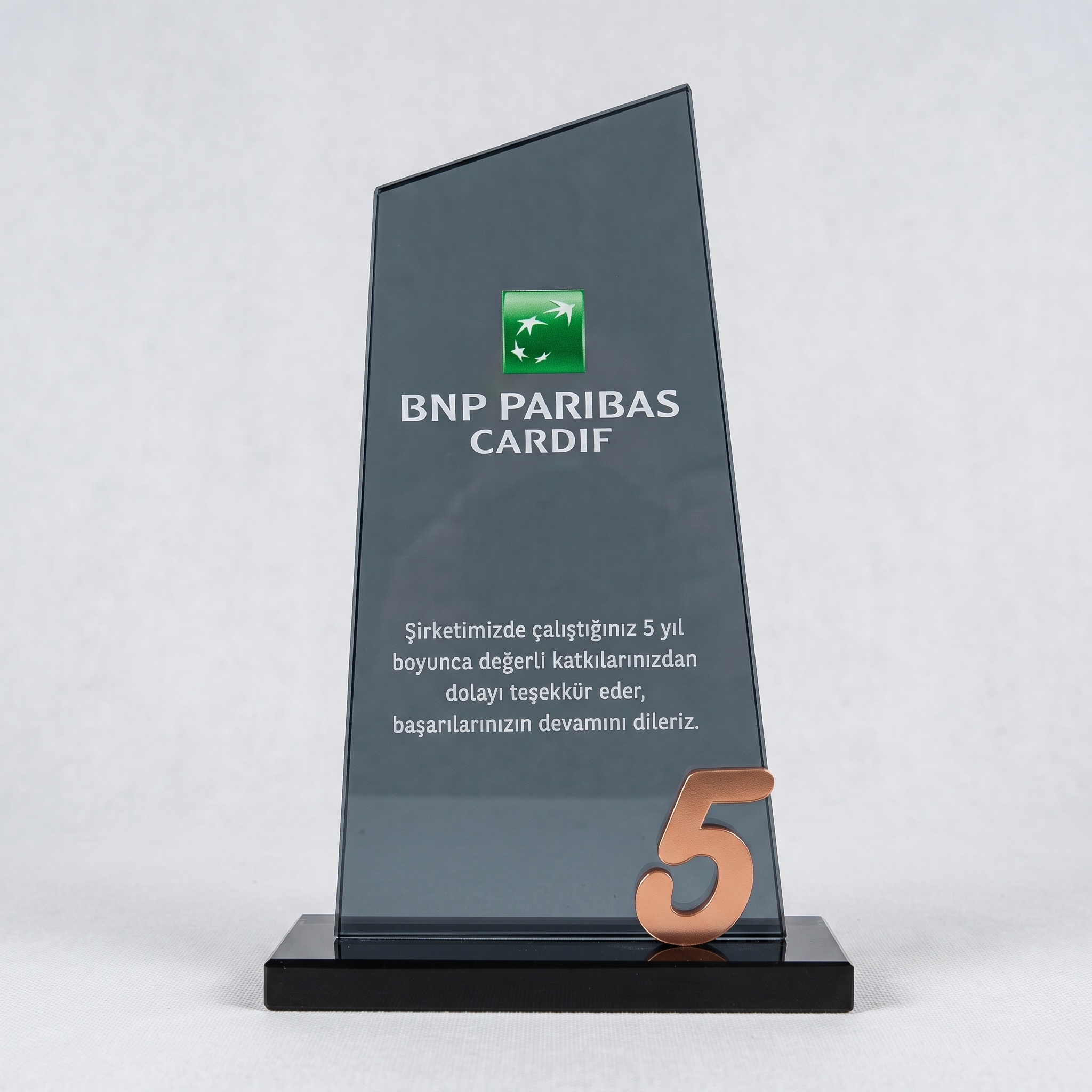 BNP Paribas Cardif - 5. Yıl Kıdem Plaketi